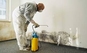 Best Mold Remediation for Healthcare Facilities  in Folly Beach, SC